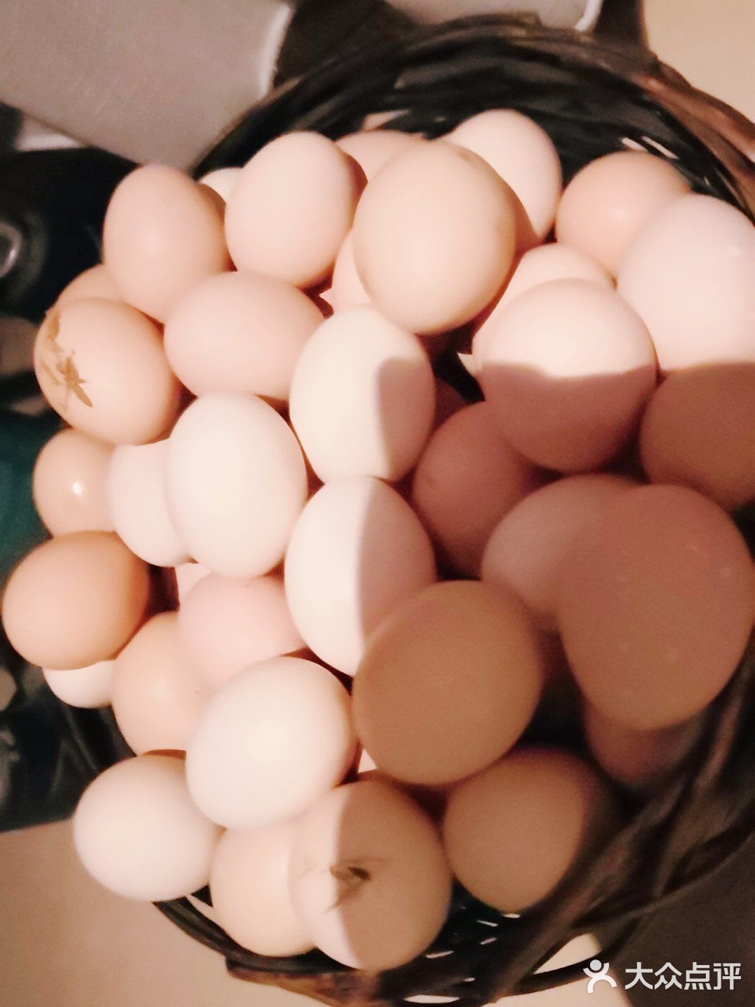 与肉鸡大大的不提一样，。喜欢田园生活。信阳到北京