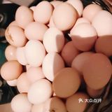 与肉鸡大大的不提一样，。喜欢田园生活。信阳到北京