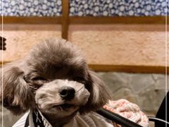 -井水小厨·湘菜(活力广场店)