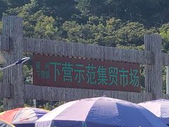 -示范集贸市场