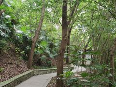 -镇江市南山风景名胜区竹林景区