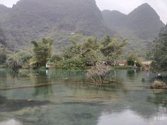 -靖西鹅泉风景区
