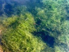 -西中岛海滨