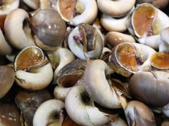 -赤山海景丽呈酒店