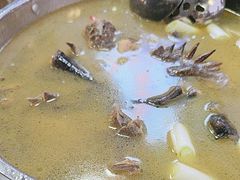 -陈三炖鸡馆(金众小区店)