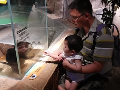 -zoonana室内动物园(东方福来德店)