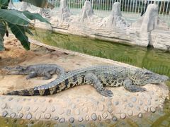 -石家庄市动物园