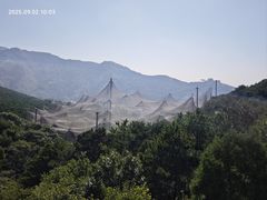 -燕塞湖鸟语林景区