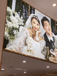 -金夫人婚纱摄影全球旅拍(大连店)