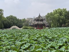 -莲池书院博物馆
