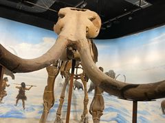 -辽宁古生物博物馆