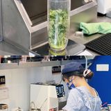 中山探店｜真香预警桃桃乌龙柠檬茶还有谁没冲！