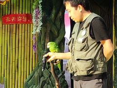 -萌宠奇缘(荣鼎店)