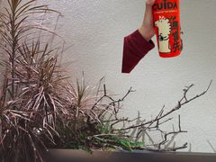 -CUIDA(湾悦城店)