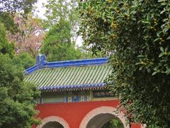 -灵谷景区