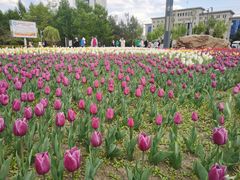 -长春公园(普阳街道)