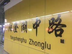 -阳澄湖中路(地铁站)