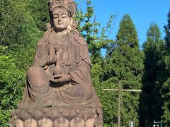 -武陵山森林公园