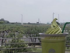 -雪绿茶博物馆