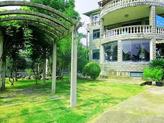 -鑫艺宠物美容培训学校