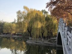 -西安市长乐公园