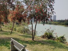 -广西壮族自治区药用植物园
