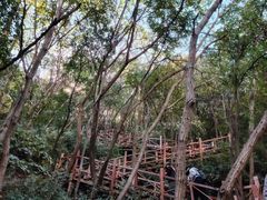 -大岭沟猕猴桃谷风景区