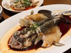 -品味居·首店·大连鲜活海鲜大连菜(东港店)