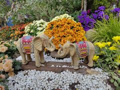 -上海共青森林公园