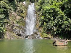 -鼎湖山风景区