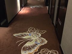 -常州环球恐龙城维景国际大酒店