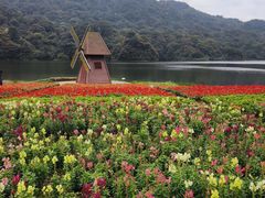 -广州市石门国家森林公园