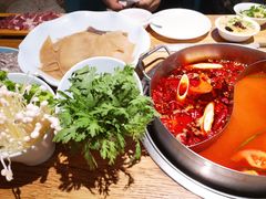 -青瓷火锅料理(西单大悦城店)