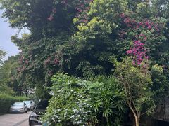 -茅庐·川粤精品私房菜(金沙遗址店)