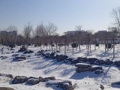 -水西公园