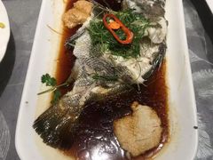 -大树头森林餐厅(番禺广场店)