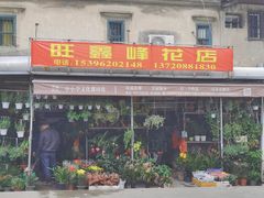 -溪岸路花鸟市场