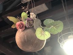 -志龙皇冠吃货椰子铺