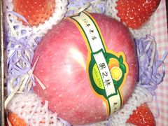 -香坝坝鲜鱼火锅(春熙路店)