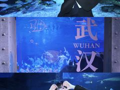 -海合安武汉极地海洋公园