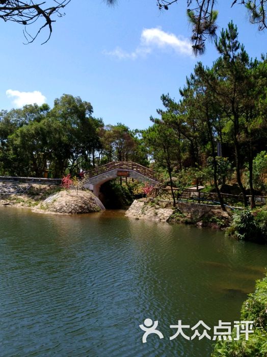 黄花山森林公园图片 - 第18张