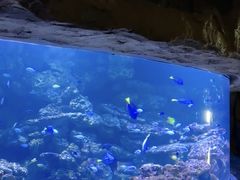 -南昌融创海世界