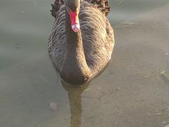 -上海交通大学闵行校区-包玉刚图书馆