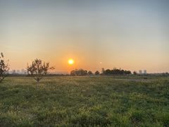 -汉长安城未央宫国家考古遗址公园