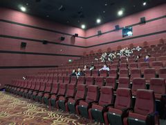 -悦江新远影城IMAX