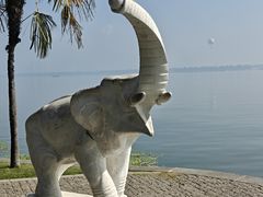 -湖滨客舍·湖北菜