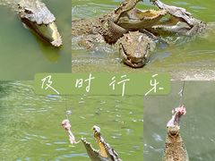 -广州长隆野生动物世界
