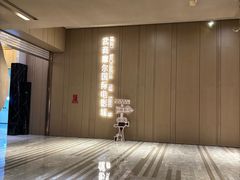 -武商摩尔影城(国广IMAX激光店)