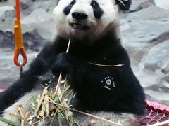 -济南野生动物世界