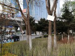 -东北大厦酒店(沈阳北站青年大街店)